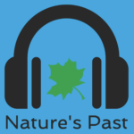 NP Logo 1200x1200 12 July 2016