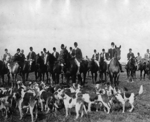 montrealfoxhunting