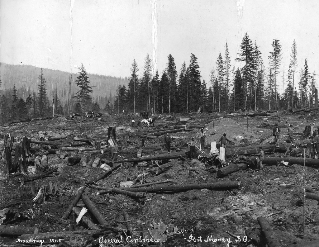 Clearing site for Imperial Oil refinery at Ioco, 1914. Source: City of Vancouver Archives.