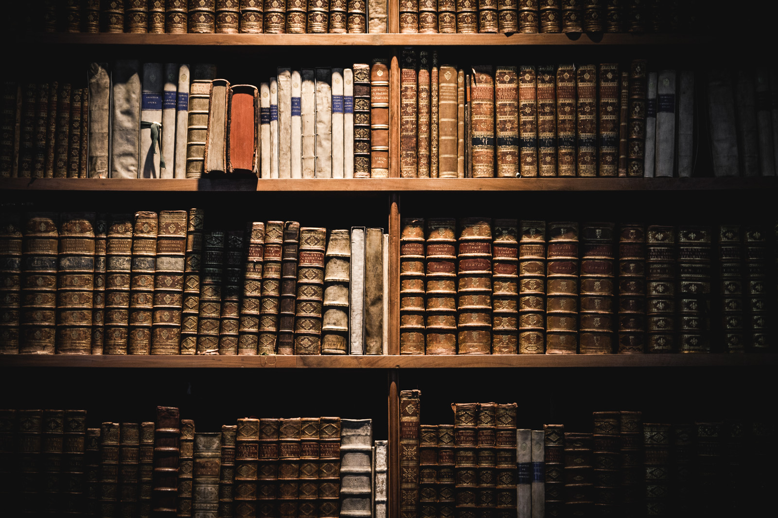 Shelf of old looking books